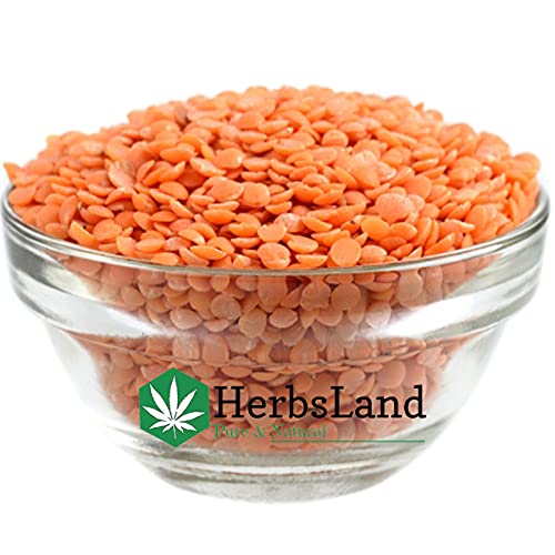 HerbsLand® 100% Natural Beetroot (SuperFood) (Beta Vulgaris), Masoor Dal (Red Lentils-Seed) FacePack and Neem Leaf Powder For Face & Skin Care (100gm Each) 5