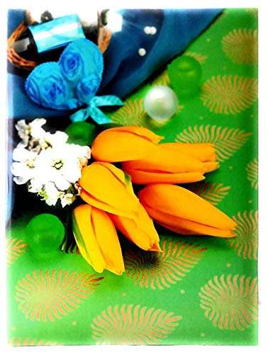 CSN - CUTE SHOPPING NETWORK Natraj Series Portable. (Mini) Photo Album with Extra Clear PVC Film 100 Photos (Photo Size Supported: 4x6 Inches, Multicolour) 1