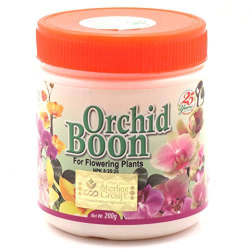 Orchid Boon -Flowering 200 GM White 1