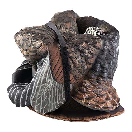 Avian-X Strutter Lifelike Collapsible Decoy LCD Folding Tom Turkey Hunting Decoy with Carrying Case, 24 Inch Stake, and Realistic Paint Detailing 4