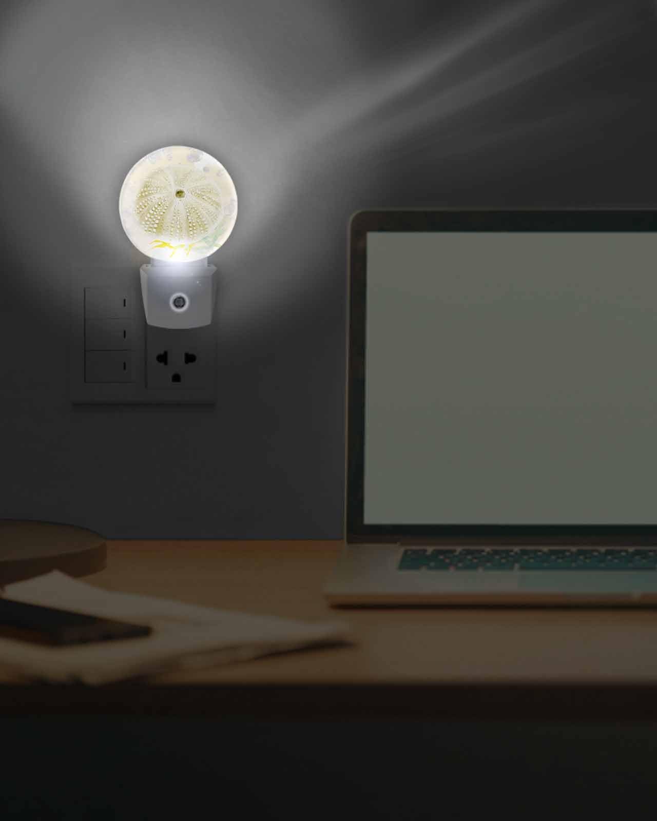 Coastal Sea Urchin LED Night Light Plug Into Wall,Vintage Watercolor Summer Beacn Sea Night Light for Kids Soft Night Lights with Dusk to Dawn Sensor Nightlight for Bedroom Bathroom Nursery Hallway 6