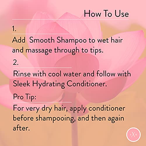 Strength x Beauty - 2 pc. Discovery Set: Smooth | Sleek Shampoo and Conditioner 3.4 oz. Try-Me | Travel Size 3