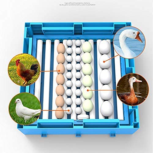 METRO IMPEX 128 Chicken Egg Rolling Type Automatic Digital Intelligent Chicken Egg Hatcher Incubator for Eggs with Low Power with Auto Turning Egg (Any Size Egg Can Be Hatched) (128 Egg Incubator) 3