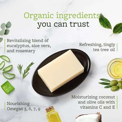 Truremedy Naturals Remedy Soap for Men, Women - Tea Tree Oil Bar includes Peppermint, Eucalyptus - for Foot, Body, All Skin Types - Pack of 5 5