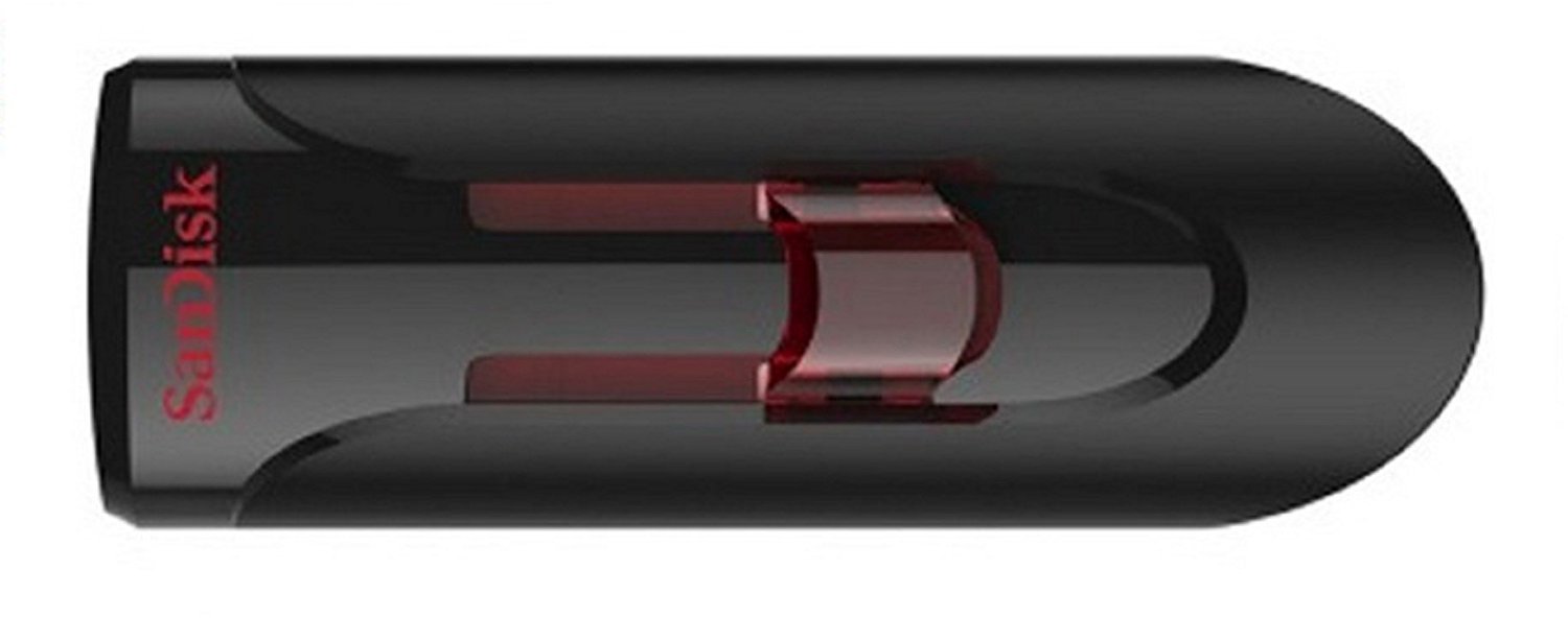 SanDisk 256GB Cruzer Glide 3.0 USB Flash Drive (2 Pack) Laptop Computer Pen Drive (SDCZ600-256G-G35) Bundle with (1) Everything But Stromboli Lanyard 2