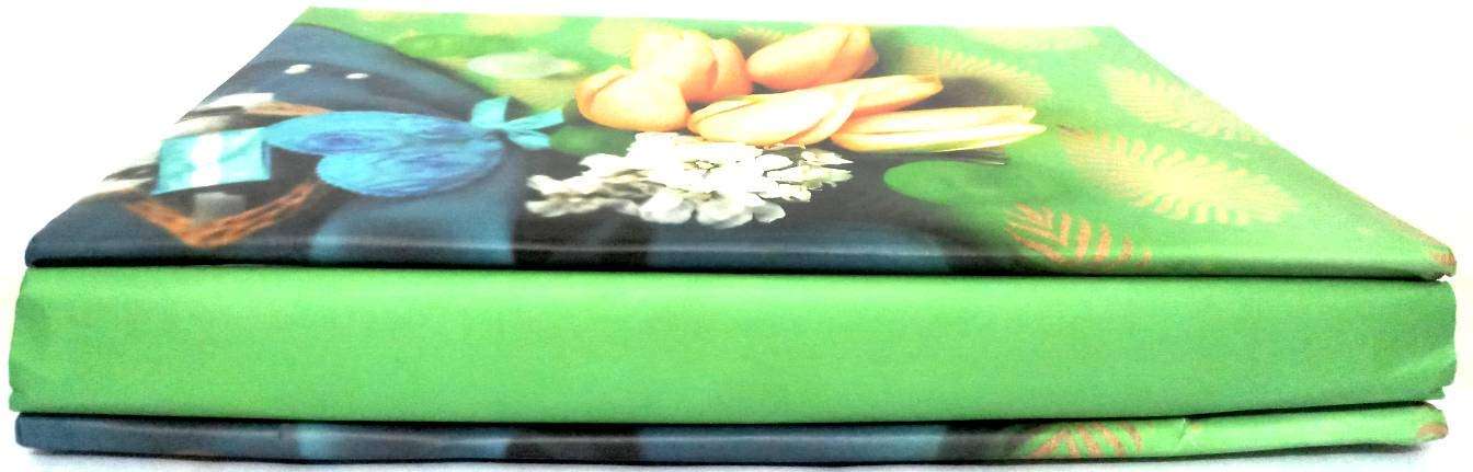 CSN - CUTE SHOPPING NETWORK Natraj Series Portable. (Mini) Photo Album with Extra Clear PVC Film 100 Photos (Photo Size Supported: 4x6 Inches, Multicolour) 5