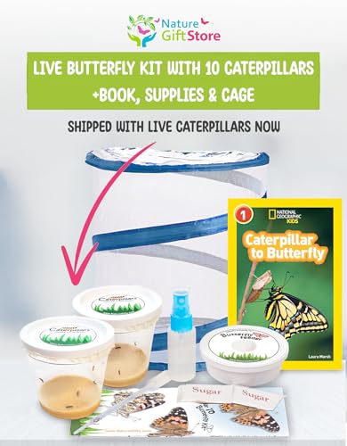 Live Butterfly Growing Complete Kit - Includes 10 Live Caterpillars - All-in-One Kit with Net Cage, Food, and Rearing Supplies - Book Bundle 2
