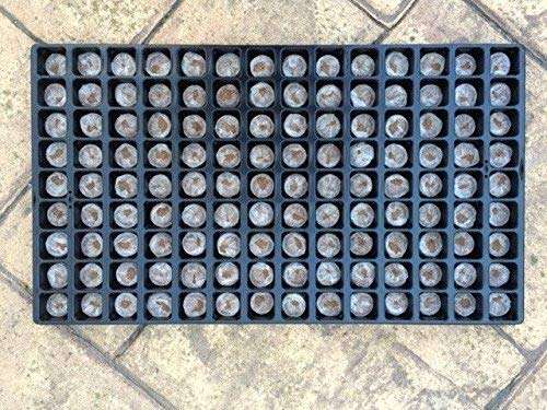 CRODOR Unique Plastic Cocopeat Pellets Seed Starting Plugs (Brown), Pack of 5 5