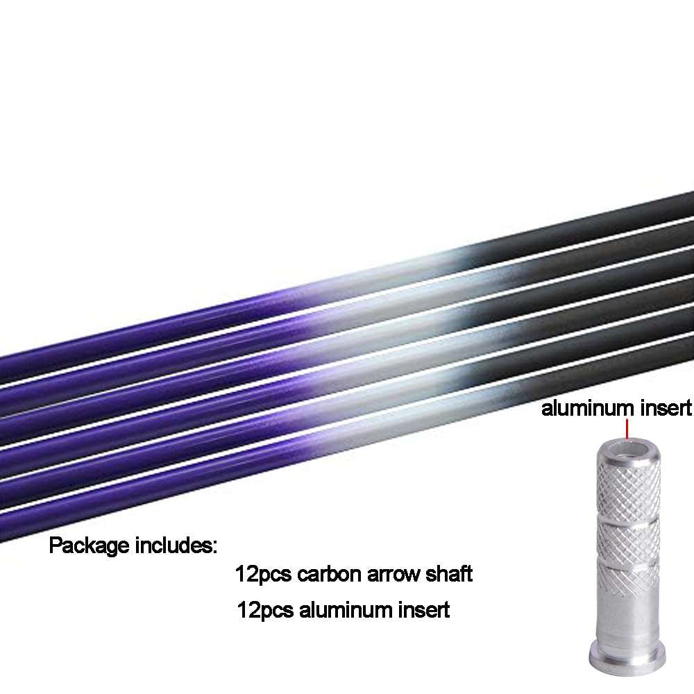 ZSHJGJR 30 Inch Pure Carbon Arrow Shaft ID 6.2mm Spine 250 300 350 400 450 500 550 600 Raw Bare Shaft Archery Carbon Shaft Tube for DIY Homemade Arrows 12pcs (Spine 400, Purple) 5