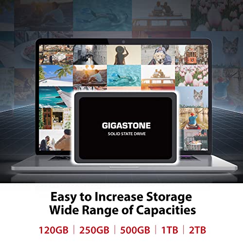 Gigastone SATA SSD 120GB (2-Pack) 2.5 inch SSD 500MB/s Upgrade Laptop PC Memory and Storage PS4 HDD Replacement 2.5" Internal Solid State Hard Drives SATA III SLC Cache 3D NAND Increase Performance 6