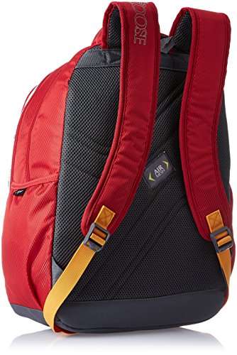 Skybags Helix 29.5 Ltrs Red Casual Backpack (BPHELFS3RED) 2
