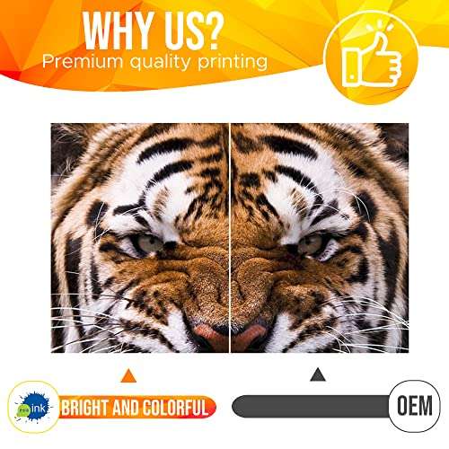 think ink Refill Ink Bottles for Canon PIXMA G3000, G2000, G2010, G4010, G3010, G2012, G 1000, G1010, G4000 Ink Tank Printers and Compatible with GI-790 Original Inks Bottle (Multicolor) 6