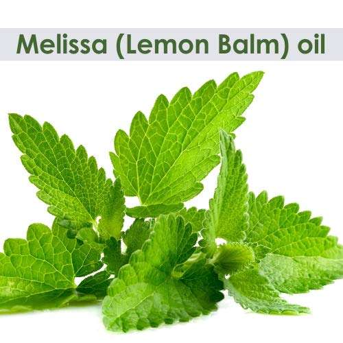 Melissa (Lemon Balm) oil(Melissa officinalis) 100% Pure & Natural With Dropper 50ml 2
