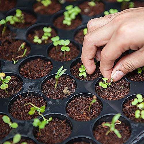 GATE GARDEN Kraft Seeds Cocopeat - 1 Kg Block |Expands up to 25 Liters |Coconut Fibre Compost |Fertilizers for Home Garden |Plant Growth Booster |Organic Manure for Pot Plants |Soil Mix for Home 5