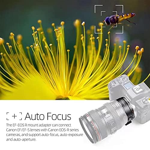 Ketsicart® Lens Adapter EF - EOS R - All Metal Auto Focus Mount Converter - Compatible for Canon EF/EFS Lenses to EOS RP, R, R6, R5 Cameras 5