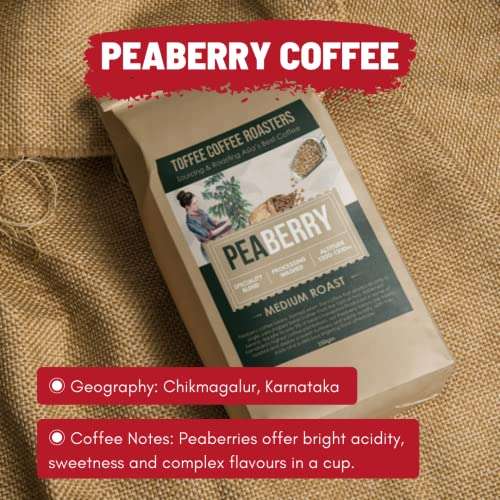 Toffee Coffee Roasters | Peaberry Coffee | Single Origin Coffee | 100% Arabica | Medium Roast | Coffee Notes: Sweet with Delicious Aftertaste | Grind: Home Espresso Machine| Freshly Roasted | 500 gms 5