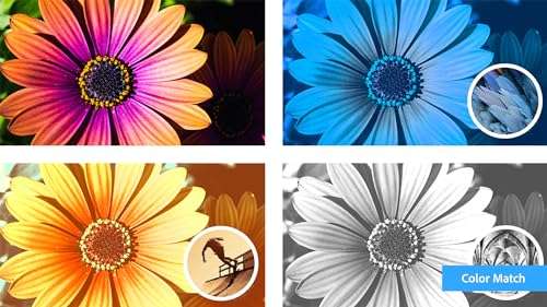 Adobe Photoshop Elements 2024 and Premiere Elements 2024 | Box with Download Code 2