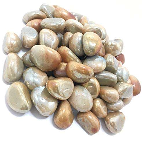 DR Pebbles Decorative Stones for Home Decor (Milky Gold Kaju Type, 950g) 2
