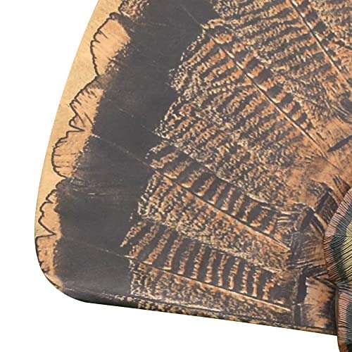 Avian-X Strutter Lifelike Collapsible Decoy LCD Folding Tom Turkey Hunting Decoy with Carrying Case, 24 Inch Stake, and Realistic Paint Detailing 5