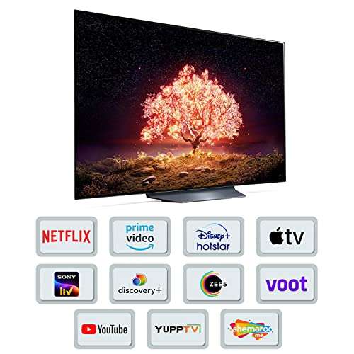 LG 139 cm (55 inches) 4K Ultra HD Smart OLED TV 55B1PTZ (Dark Iron Gray) (OLED55B1PTZ) 3