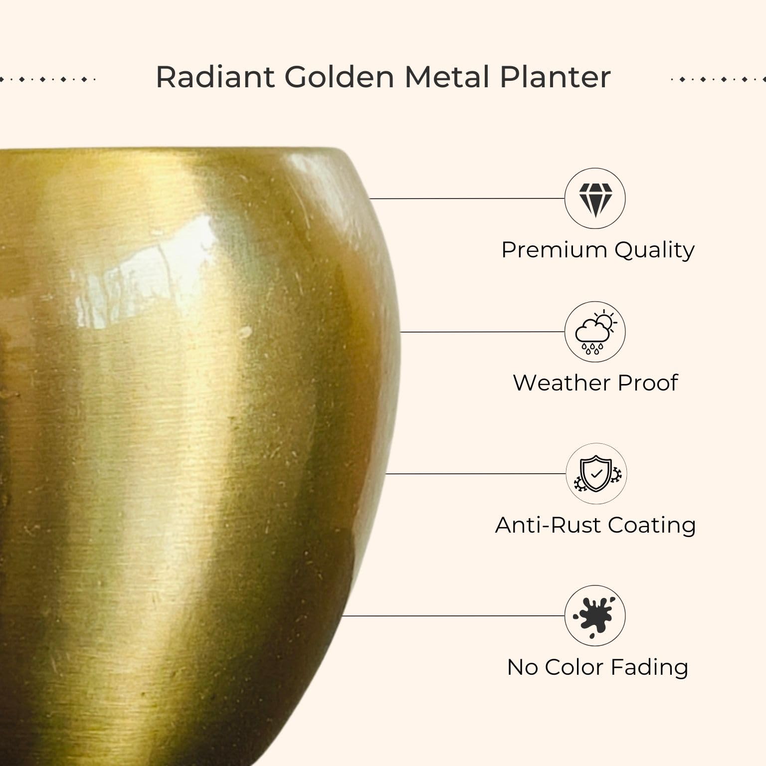 Greenkin Lucky Bamboo Plant in Golden Metal Pot | Best Feng Shui Plant | Vastu Plants for Home | 2 Layer Lucky Bamboo Plant 4