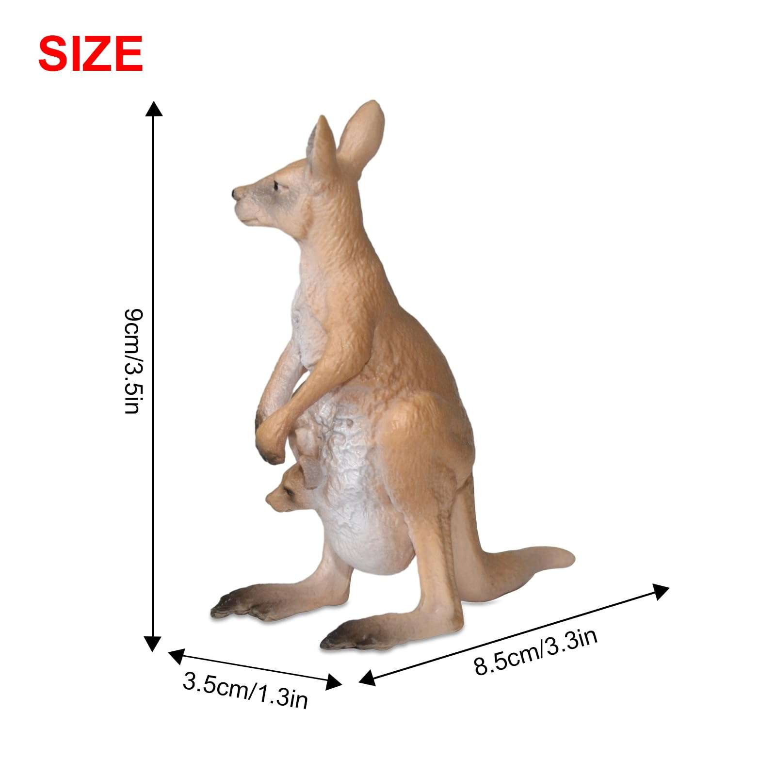 Andux Realistic Animals Figures Toys Marine Life Wild Jungle Learning Educational Playset FZDW-03 (Kangaroo) 3