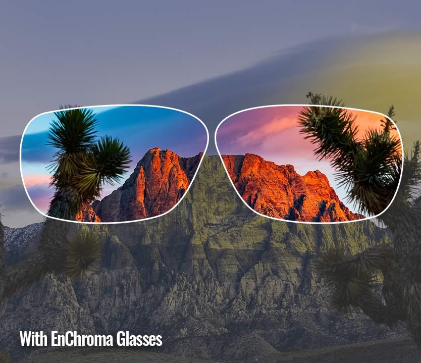 Enchroma Color Blind Glasses - Altavista - Vision Correcting & Enhancing Glasses Outdoor Use for Deutan Color Blindness 6