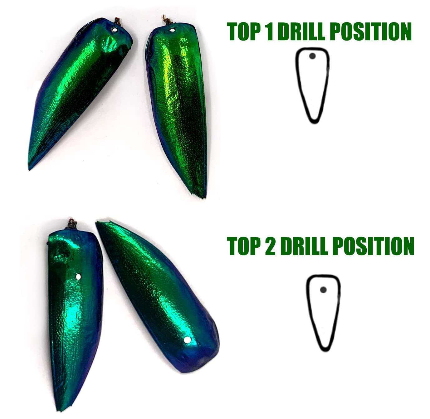 Sunne Tropical - Drill (Hole) 100 Pcs Jewel Beetle Elytra Natural Wings for Art Craft Apparel Sewing Beads Embroidery Design (Reddish TOP2) 6