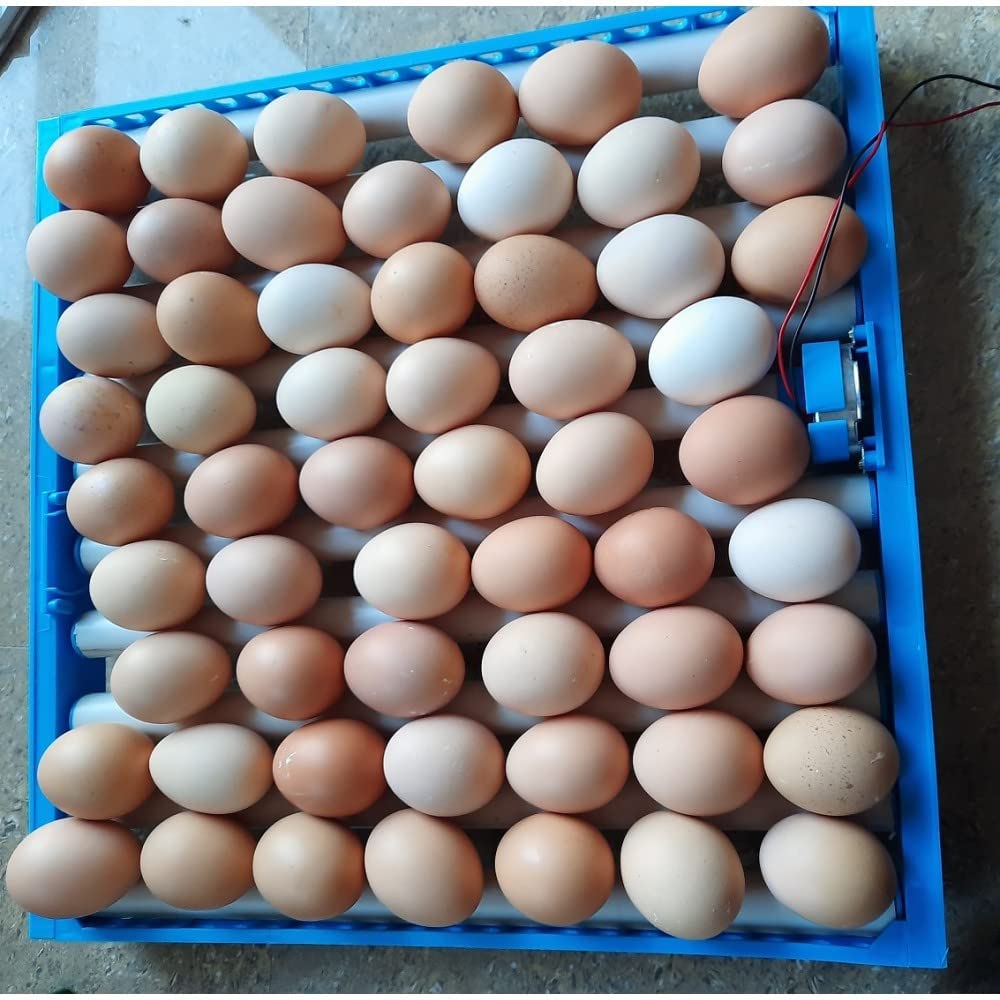 Metro Impex Roller-type 64 Egg Incubator(New Design) 5
