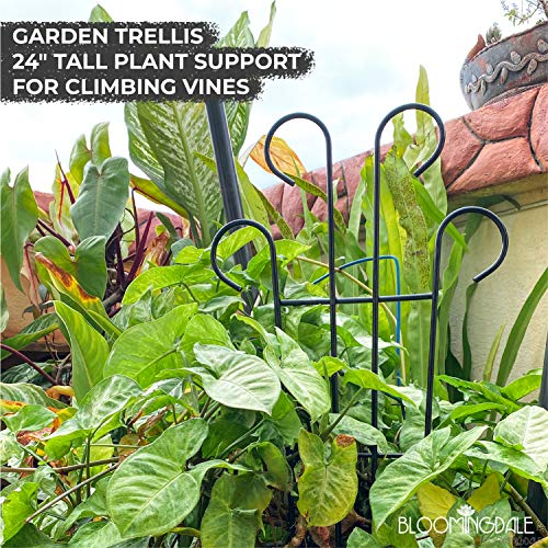 Bloomingdale Garden Trellis 24" Tall Plant Support for Climbing Vines - Lightweight Trellis for Climbing Plants Creeper Support for Plants (Pack of 1), black 6