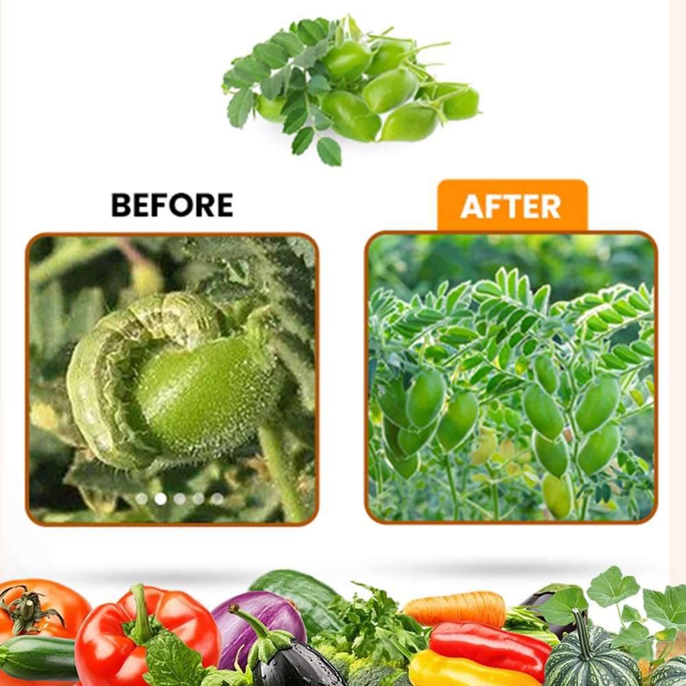 Kay Bee Neem Oil 10000 PPM | Cold Pressed Organic Neem Oil for Plants | Leaf Shine & Healthy Growth Spray – 5 Litre 5