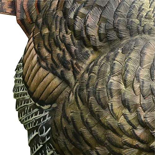 Avian-X Strutter Lifelike Collapsible Decoy LCD Folding Tom Turkey Hunting Decoy with Carrying Case, 24 Inch Stake, and Realistic Paint Detailing 3