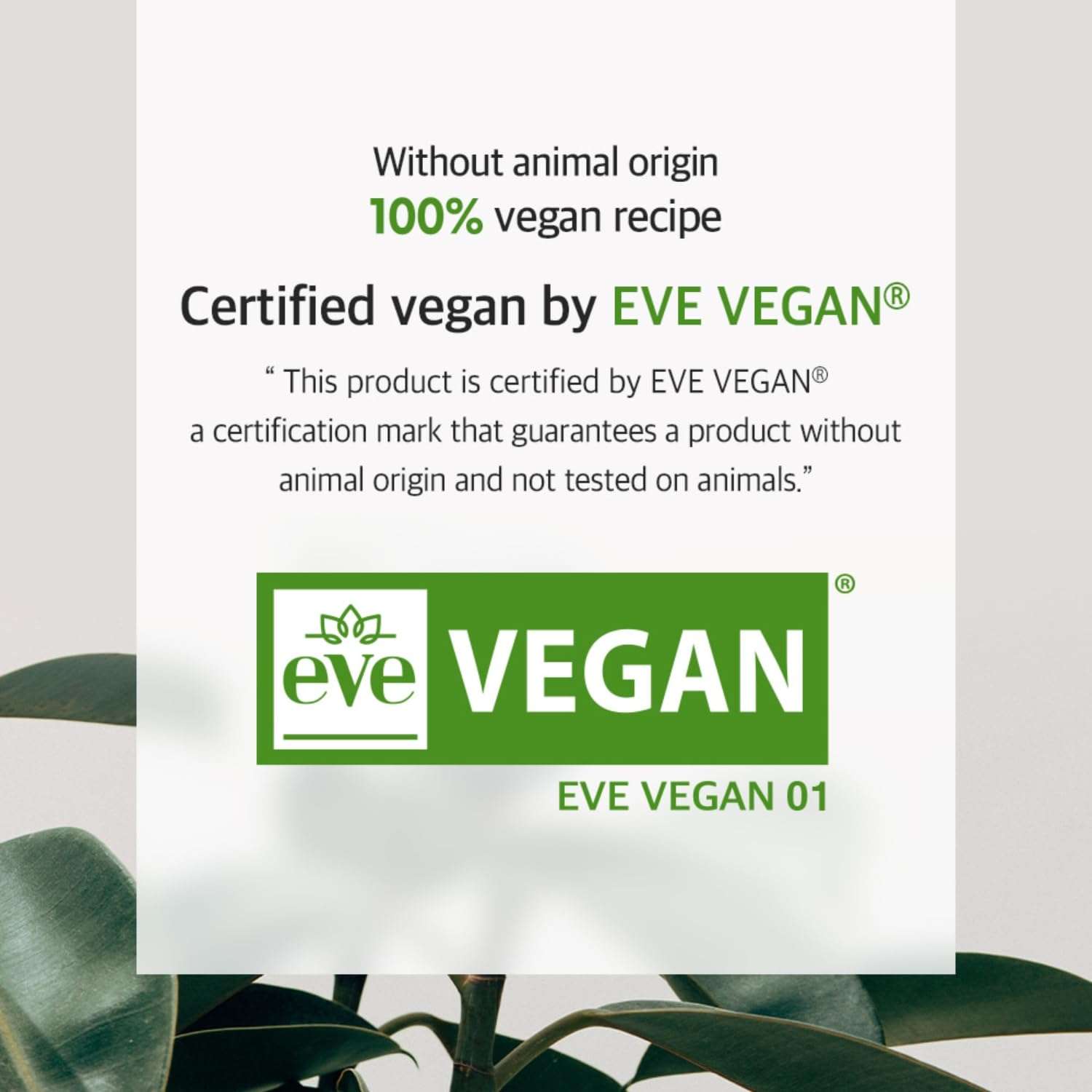 LAVIEN Kombu Biome Intensive Gel Cream - Korean Skincare Facial Cream Hydration & Nourishment with Kombucha Fermented Ingredients - Firm Skin & Moisturize - Suitable or All Skin Types - 1.76 oz. (50g) 4