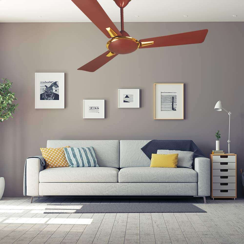 Crompton Aura 1200 mm (48 inch) High Speed Decorative Ceiling Fan (Brown) 5