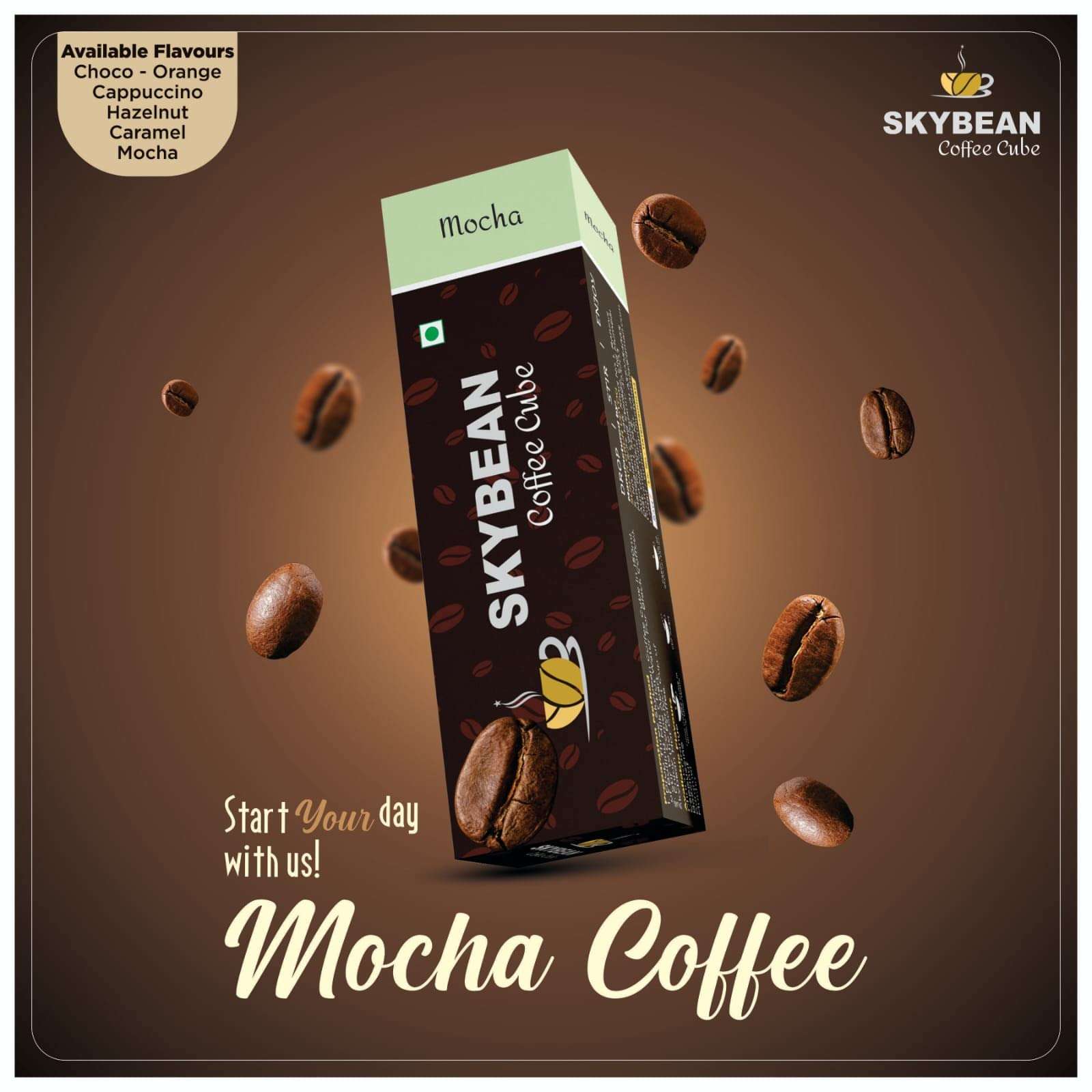 SKYBEAN Combo Pack Mocha + Mocha + Cappuccino Coffee Cube - 100g each Pack 100% Pure Coffee, Suitable for Hot & Cold Coffee Drink 4