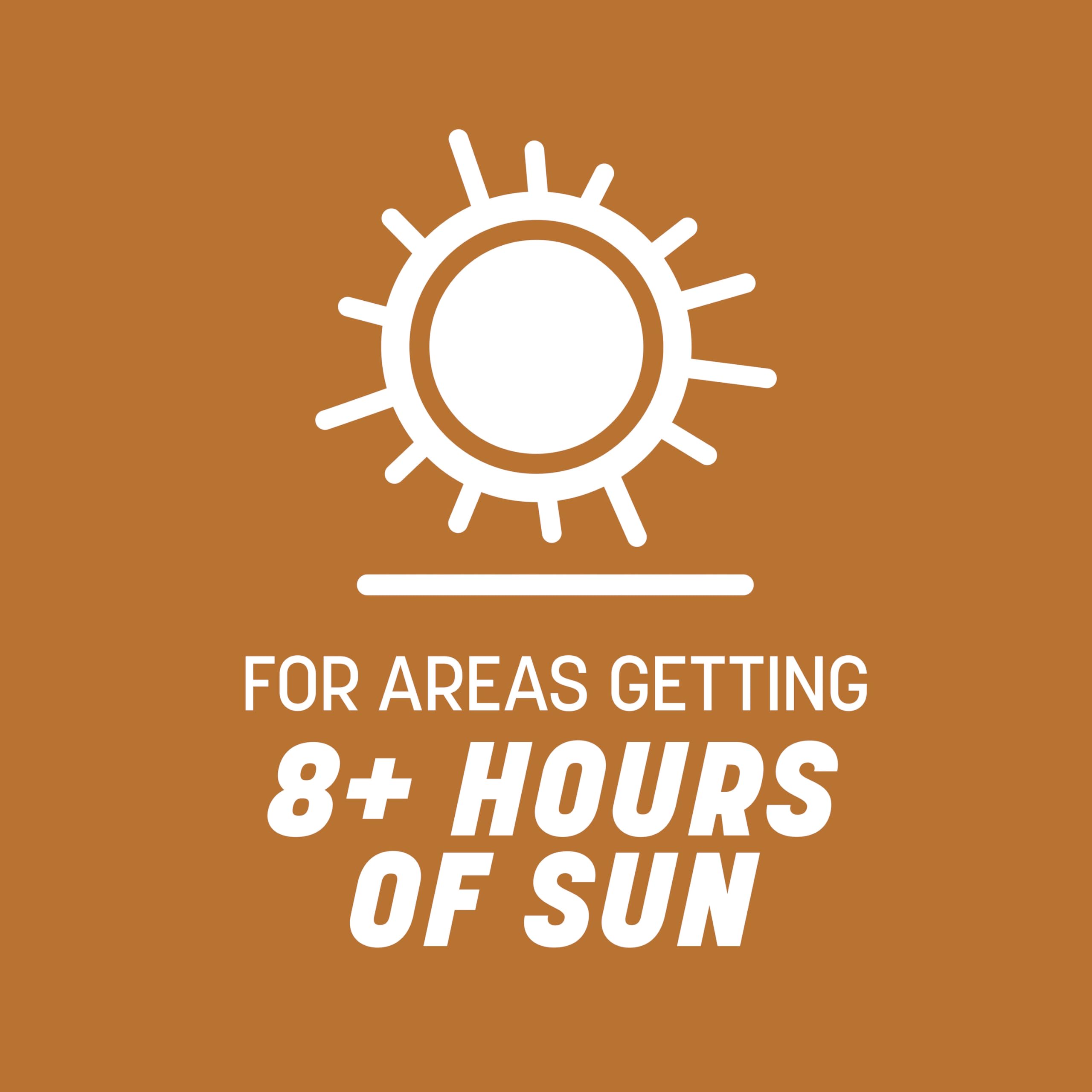 Pennington 100532365 Centipede Grass Seed & Mulch 5 LB, Black Label 6