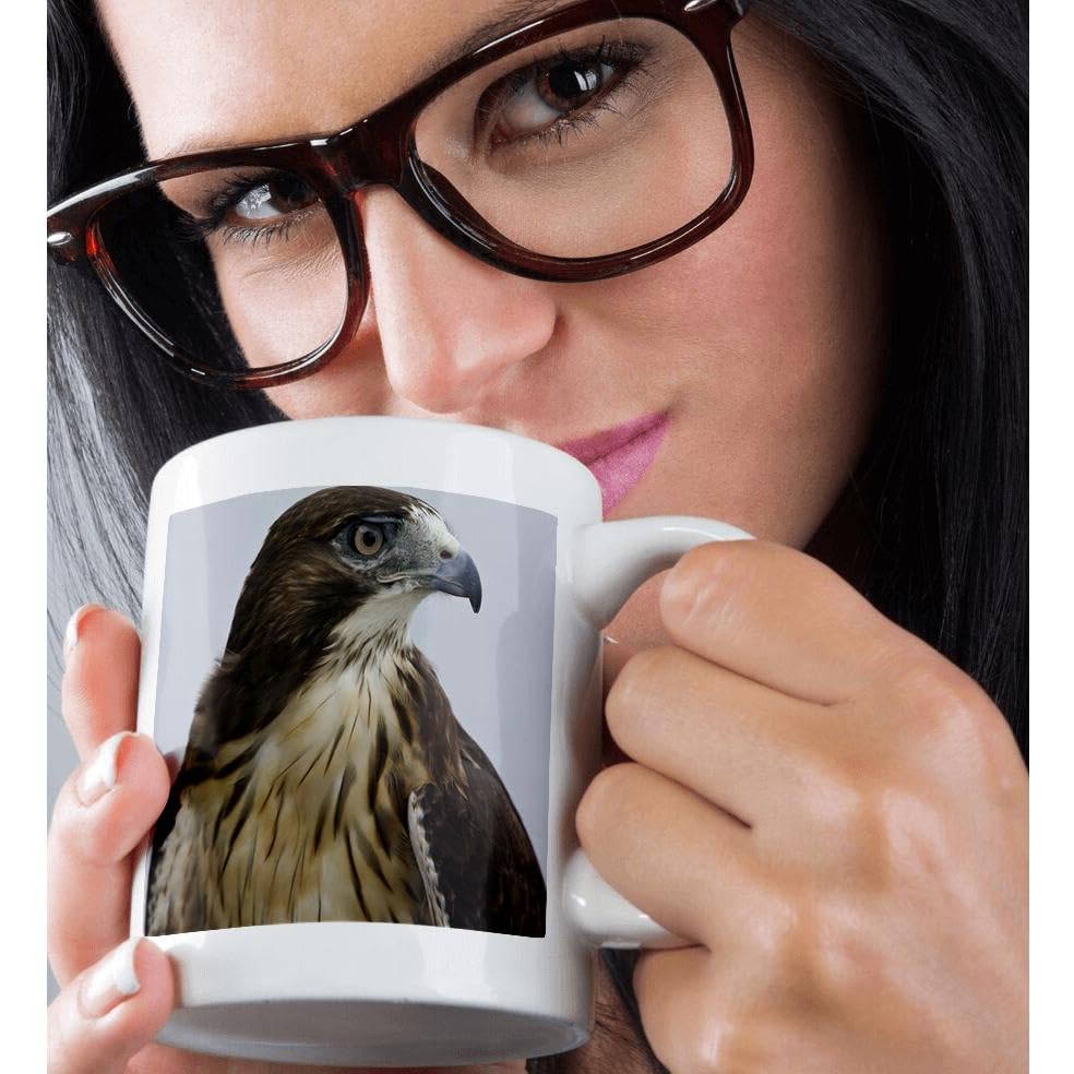 3dRose USA, Alaska, Ketchikan. Red-tailed hawk bird - US02 BJA0235 - Jaynes Gallery 15oz Mug 2