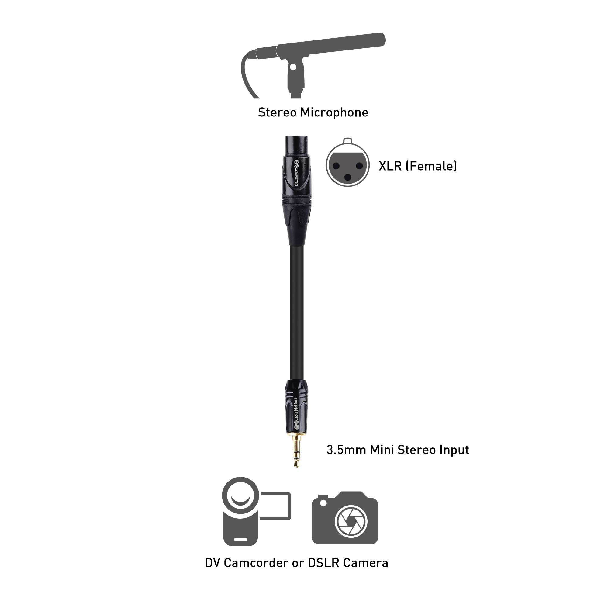 Cable Matters Short 3.5mm to XLR Cable - 3ft, Male to Female 1/8 to XLR Cable, XLRFemale to 3.5mm Cord for DSLR, DV Camcorder, Digital Voice Recorder or More, Black 3