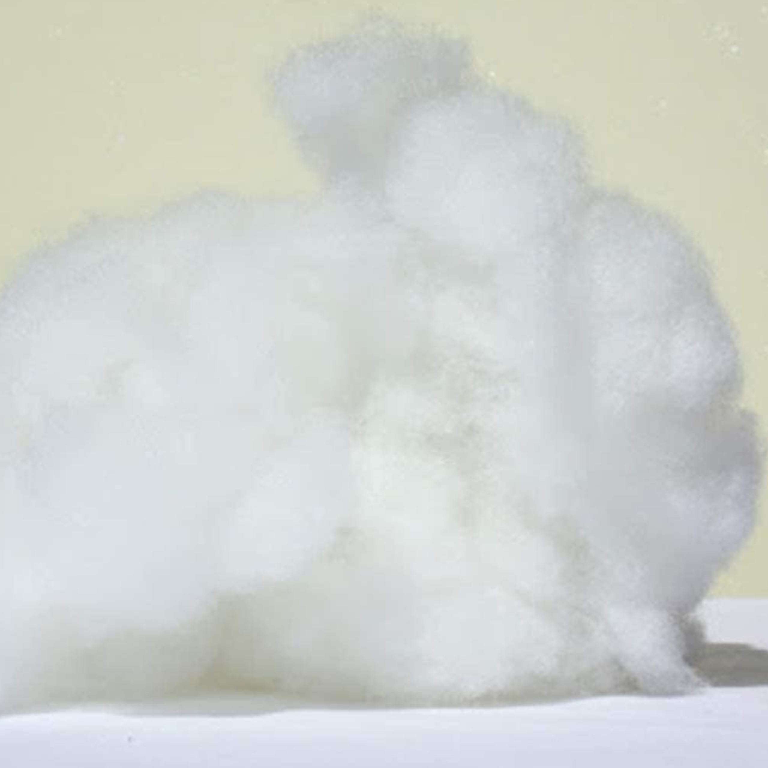 Casa Copenhagen Polyester Synthetic Cotton Soft Micro Fiber Filling for Cushion, Pillow, Teddy Bear, Toy Stuffing (500 Gm) 4