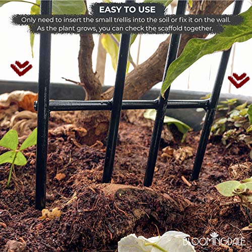 Bloomingdale Garden Trellis 24" Tall Plant Support for Climbing Vines - Lightweight Trellis for Climbing Plants Creeper Support for Plants (Pack of 1), black 5