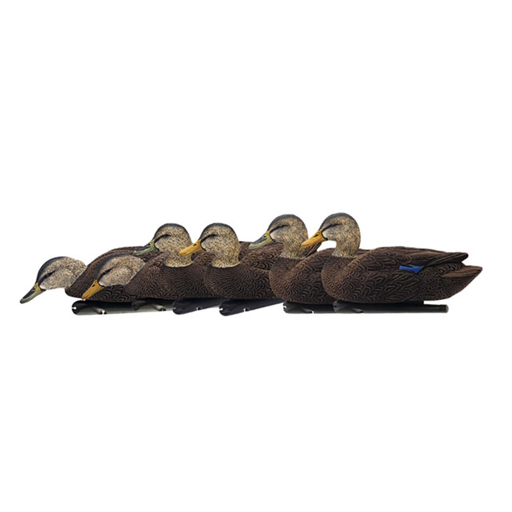 Avian X Topflight Black Realistic Duck Decoy Sets with Flocked Bodies, 6 Unique Postures, Weight Forward Swim Keel, & Durable No Flake Finish 1
