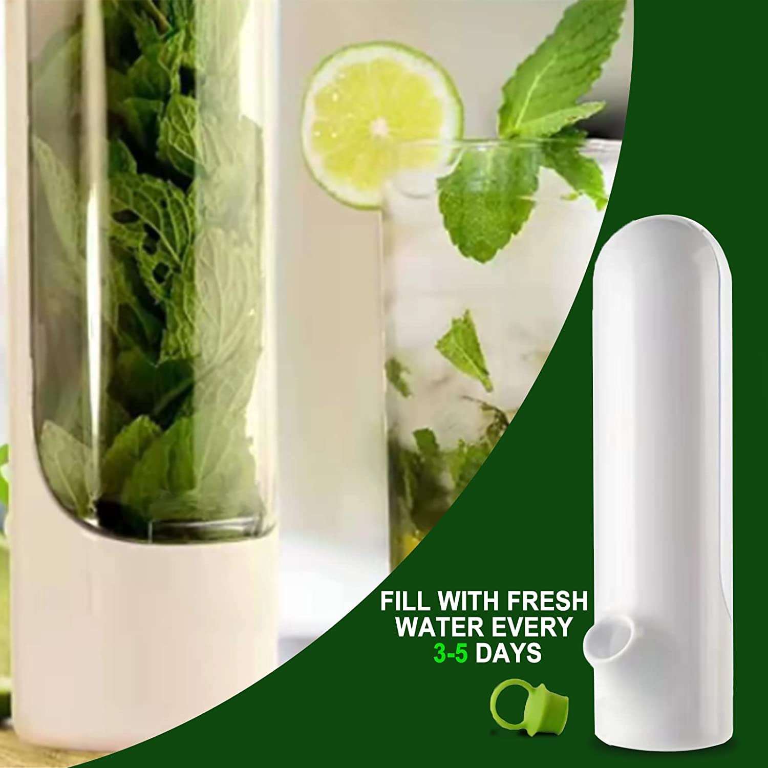Herb Savor Pod, Herb Keeper, 9.8 Inch Herb Storage Container for fridge, Keep Vegetables Fresh and Save Asparagus, Convenient Kitchen Tool for Cilantro, Mint, Parsley transparent BPA Free 4