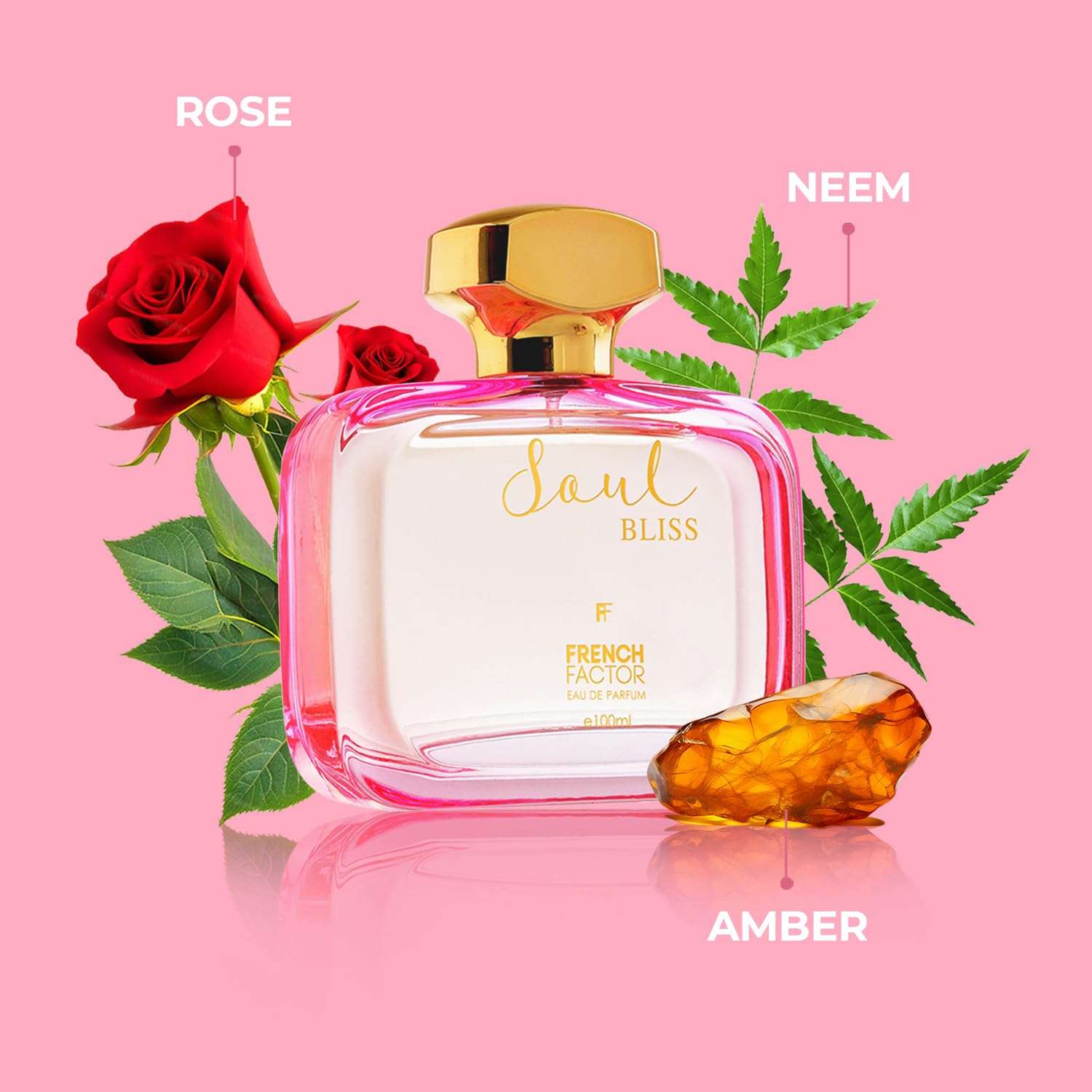 French Factor Soul Bliss Luxury Perfume For Women Long Lasting Eau De Parfum Fruity And Floral Scent Valentine Gift For Girls Made in India (Pack of 1, 100ml) 3