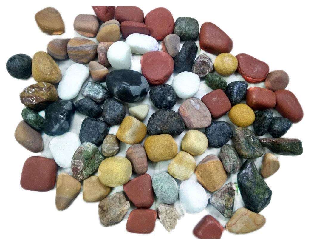 OhhSome 2Kg Pebbles Divine Decorative, Garden Pebbles for Decoration Table & All Purpose Pack 1