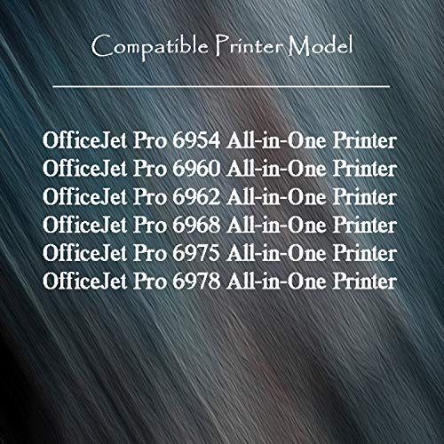 TG Imaging Compatible HP 902 Ink Cartridge Replacement for HP 902 XL 902XL for Used in Office-Jet 6950 6954 6960 6968 6970 Inkjet Printers (4xB+2xCYM,10 Pack) 2