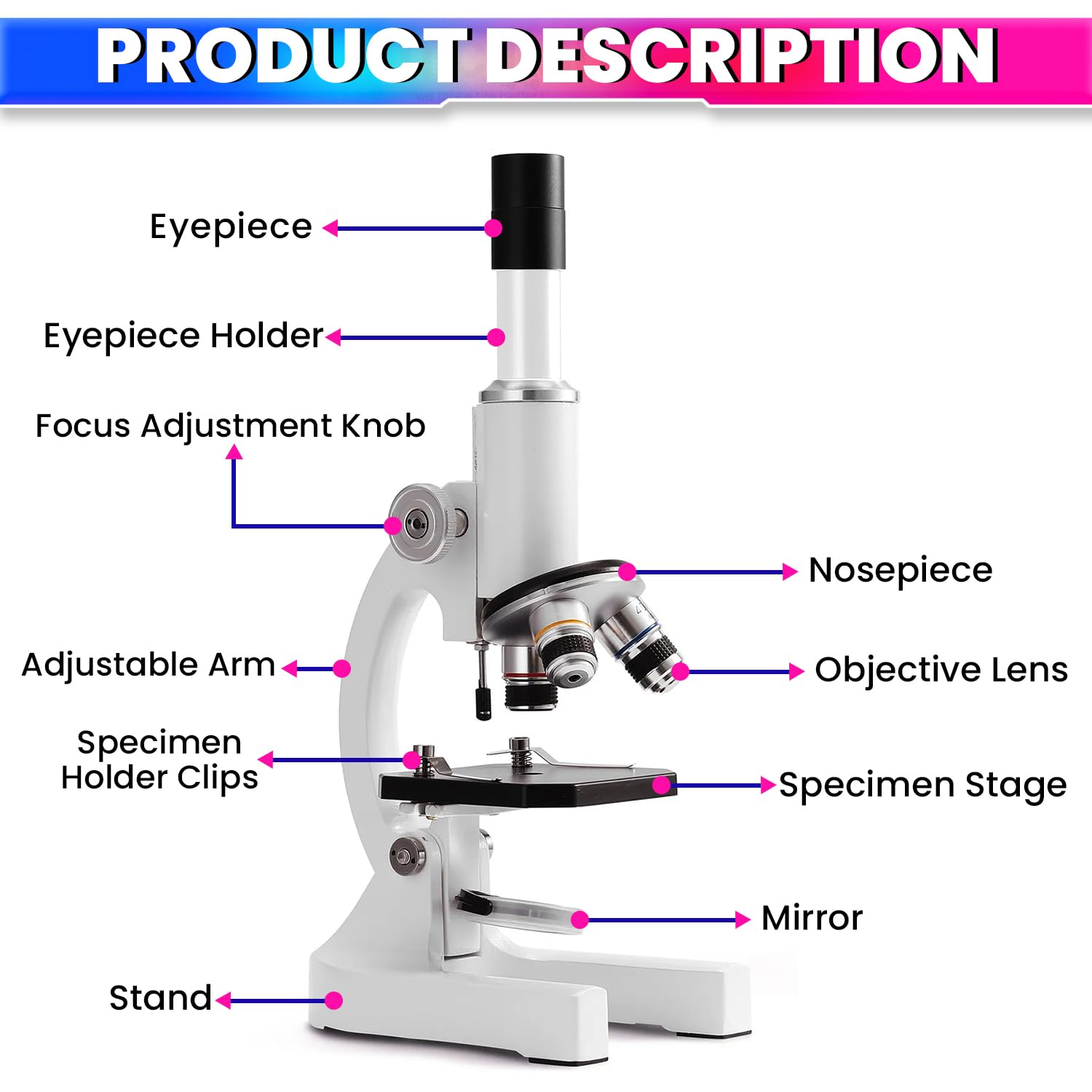amiciVision Laboratory Microscope, 2400X Monocular Optical Microscope with Multiple Objective Lenses 4