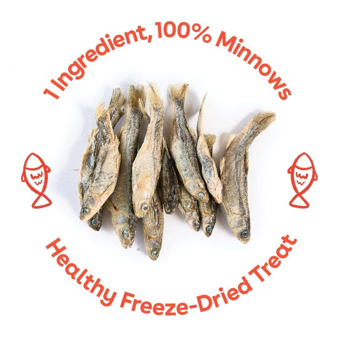 Pupford Freeze Dried Minnows for Dogs & Puppies - Healthy, Natural, Single Ingredient Dog Treats - Made in USA (2.8 oz) 5