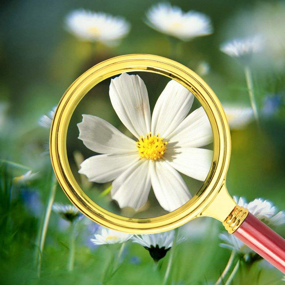 ZEBROC Double Glass 3X High Power Antique Handheld Magnifier Magnifying Glass for Reading, Soldering, jewelries, maps, Great for Gifting (3X, 80MM, Gold + Red) 5
