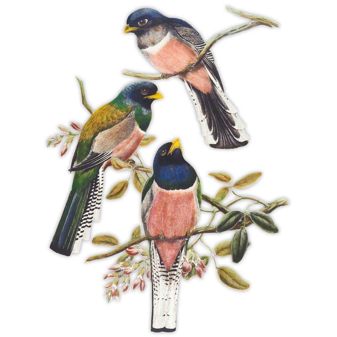 CVANU Three Birds Sit on Branch PVC Vinyl Wall Sticker for Wall Decoration Size(60cm x 45cm)_cv16 3