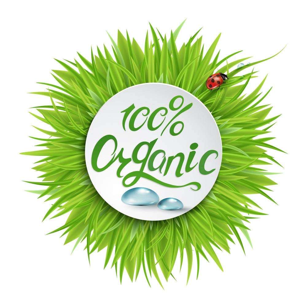 Neem Powder"WITH TULSI" For Hair & Skin Care -PACK3(100gX3) 6